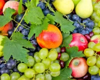 Пазл Урожай