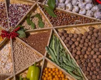 Пазл Урожай