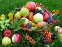 Пазл Урожай