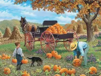 Пазл Урожай тыквы