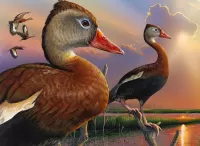 Пазл Утки