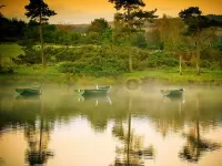 Пазл Утро на речке