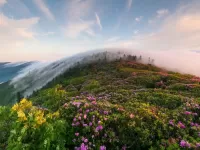 Пазл Утро туман