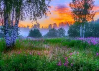 Пазл Утро туманное