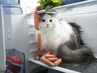 Пазл Уютное местечко