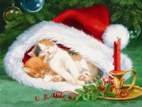 Пазл Уютное местечко