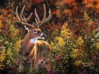 Пазл В густых травах