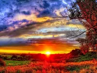 Пазл В лучах заката