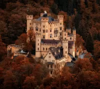 Пазл В окружении осени