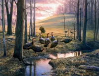 Пазл В осеннем лесу