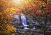 Пазл В осеннем лесу