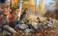Пазл В осеннем лесу