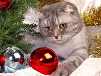 Пазл В ожидании Нового года