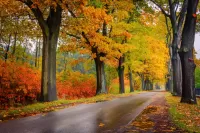 Пазл В парке 