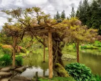 Пазл В парке