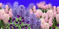 Пазл В саду