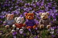 Пазл В цветах 