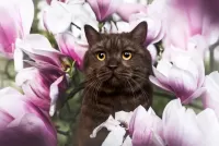 Пазл В цветах 