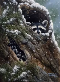 Пазл В укромном месте