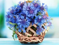 Пазл Васильки