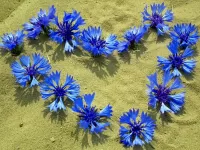 Пазл Васильковое сердце