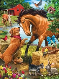 Пазл Важные новости