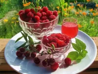 Пазл Вазочки с малиной