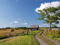 Пазл Деревенская дорога 