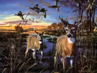 Пазл Вечерний водопой