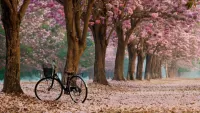 Пазл Велосипед в аллее