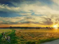 Пазл Велосипед в поле