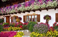 Пазл Веранда в цвету