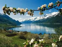 Пазл Весна в горах