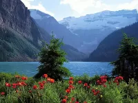 Пазл Весна в горах