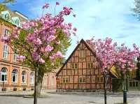 Пазл Весна в Лунде