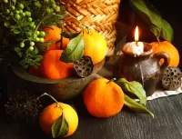 Пазл Ветка мандарин