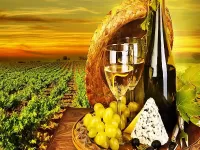 Пазл Вино возле плантации