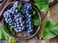 Пазл Виноград