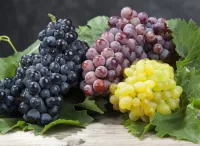 Пазл Виноград 