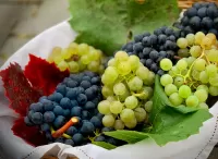 Пазл Виноград 