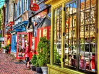 Пазл Витрина