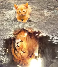 Пазл Вижу цель