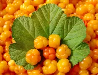 Пазл Вкусная ягода