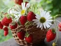 Пазл Вкусный букет