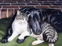 Пазл Вместе теплее