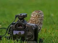 Пазл Внимание снимаю