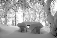 Пазл Во власти снега