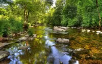 Пазл Вода и камень