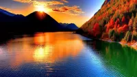 Пазл Водная гладь