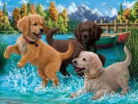 Пазл Водные процедуры